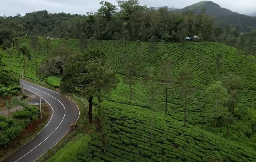 munnar